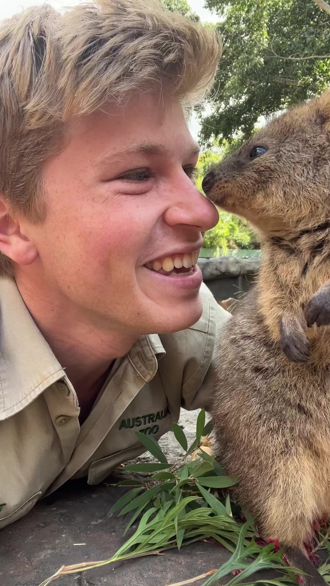 TikTok post by Robert Irwin
